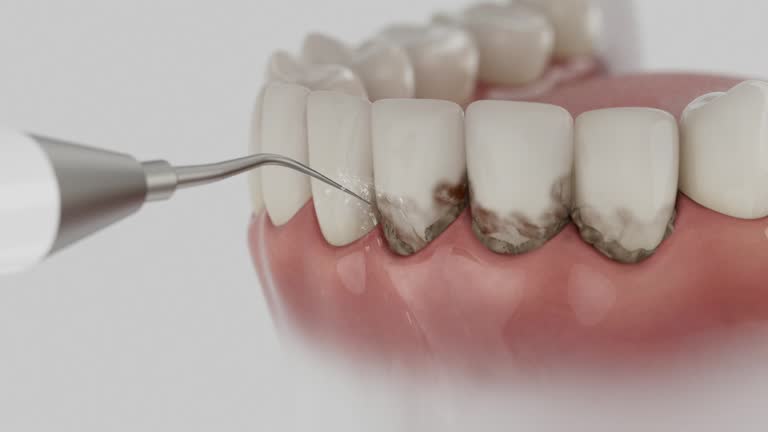 Reliable Dental contractor in Beaver, UT by Dentist Open Now